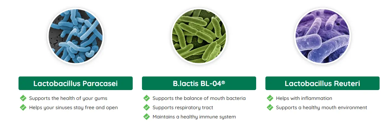 prodentim Ingredients